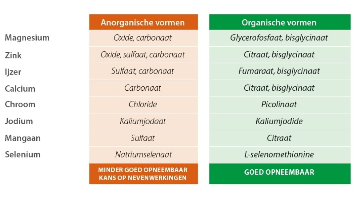 Anorganische versus Organische vormen